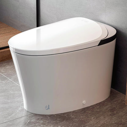 AKNIRL Upgraded Smart Toilet with Booster Pump, Heated Toilet Seat, Tankless, Auto Flush,